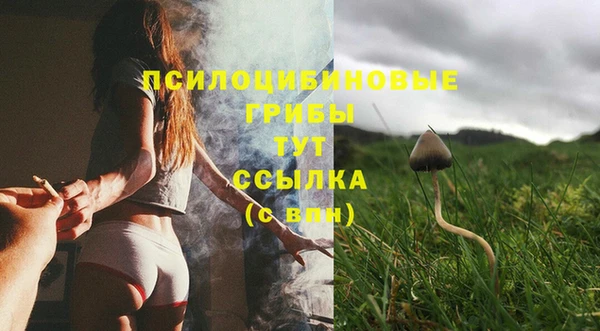 PSILOCYBIN Богородск